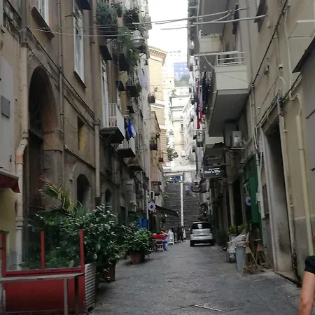 住宿加早餐酒店 Dama